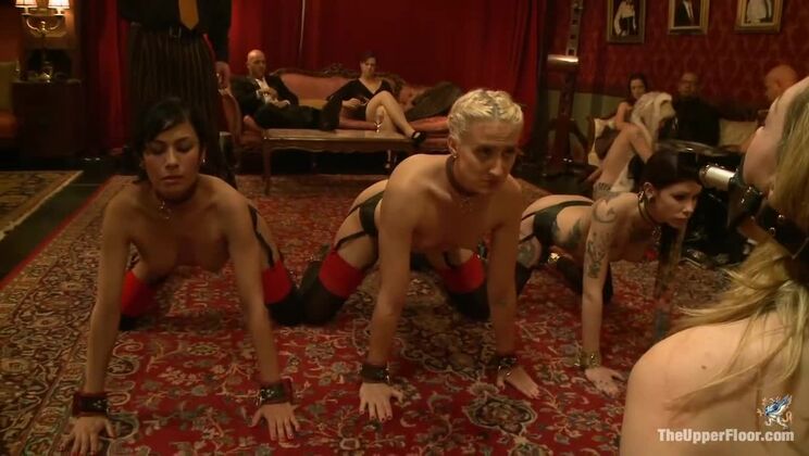 [TheUpperFloor] - Piggy Slave Girls: Part 1 - Krysta Kaos, Beretta James, Lily Labeau - Lily Labeau - Derrick Pierce - Beretta James - Krysta Kaos - Dylan Ryan