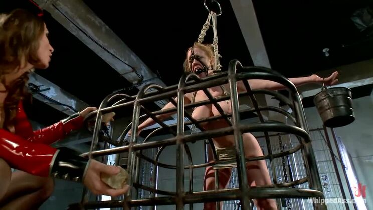 Lesbian BDSM Anal: Ariel X and Dee Williams Strap-on Showdown