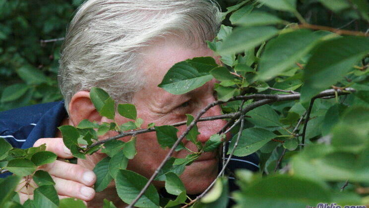 Boobarella Performs Blowjob on Older Man